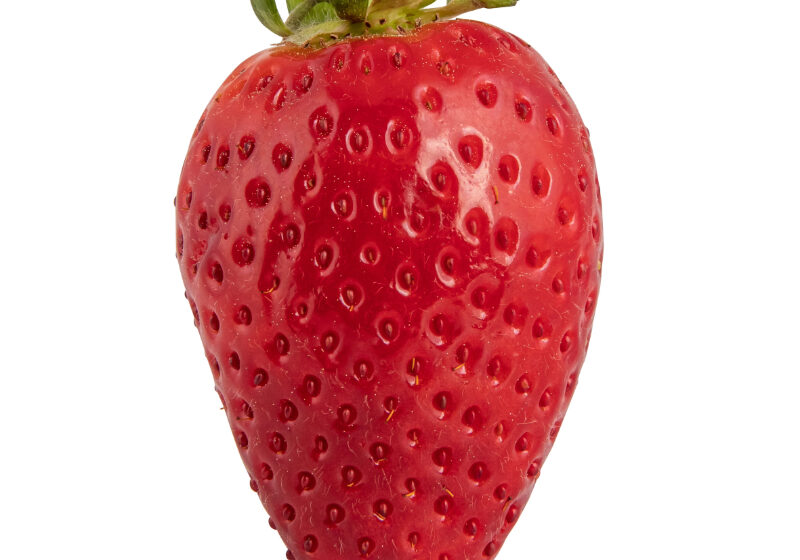 Demoiselle s&rsquo;invite sur le segment des fraises allongées