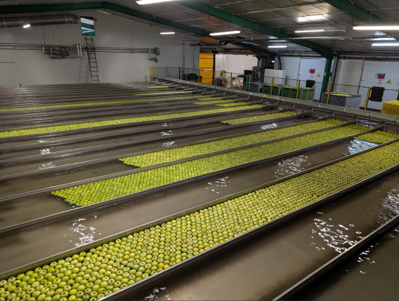 chantier agri pomone image 4