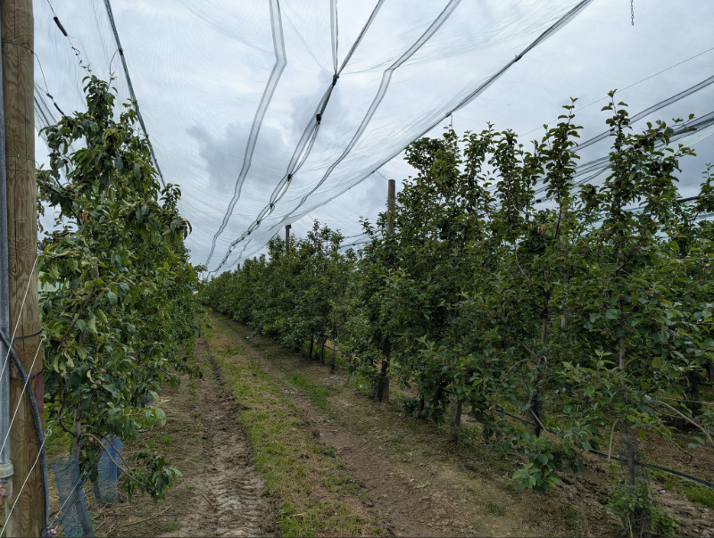 chantier agri pomone image 5