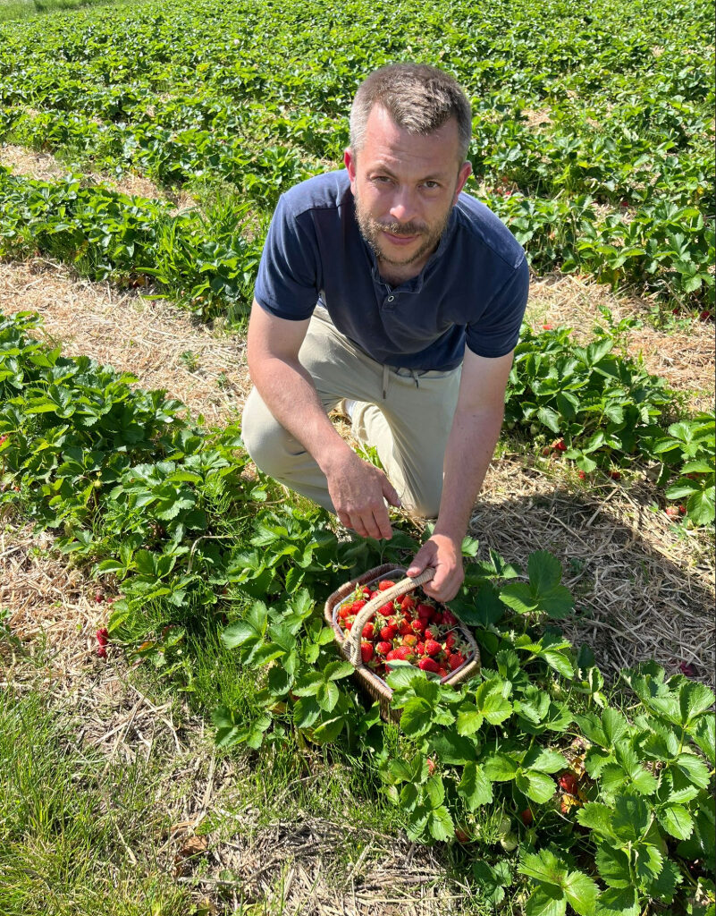 Edouard Lhotte dans un champ de fraises