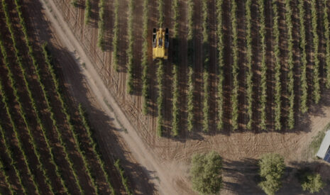 SDF France diversifie sa distribution avec GREGOIRE et VitiBot pour la viticulture