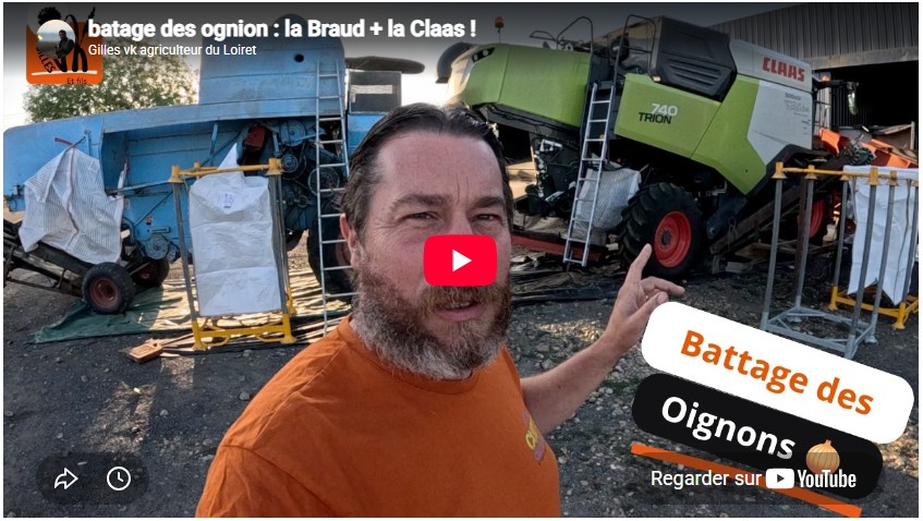 Battage des oignons : la Braud + la Claas !