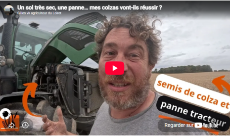 Un sol très sec, une panne… mes colzas vont-ils réussir ?