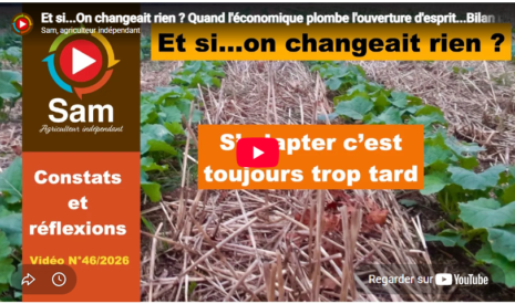 Et si…On changeait rien ? Quand l&rsquo;économique plombe l&rsquo;ouverture d&rsquo;esprit…Bilan et constats.