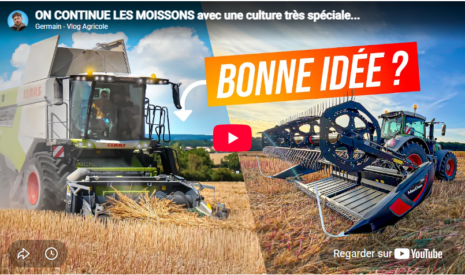 On continue les moissons avec une culture très spéciale…