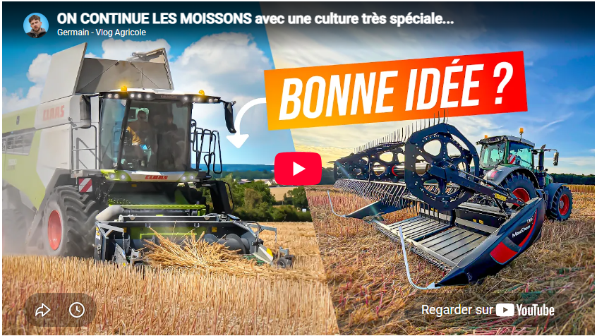 On continue les moissons avec une culture très spéciale...