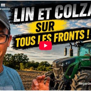 Lin et colza !!!