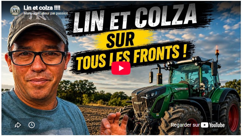 Lin et colza !!!
