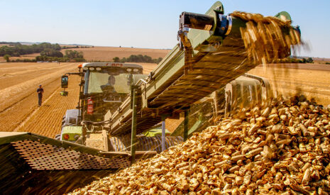 Dix ans de transformation du travail agricole