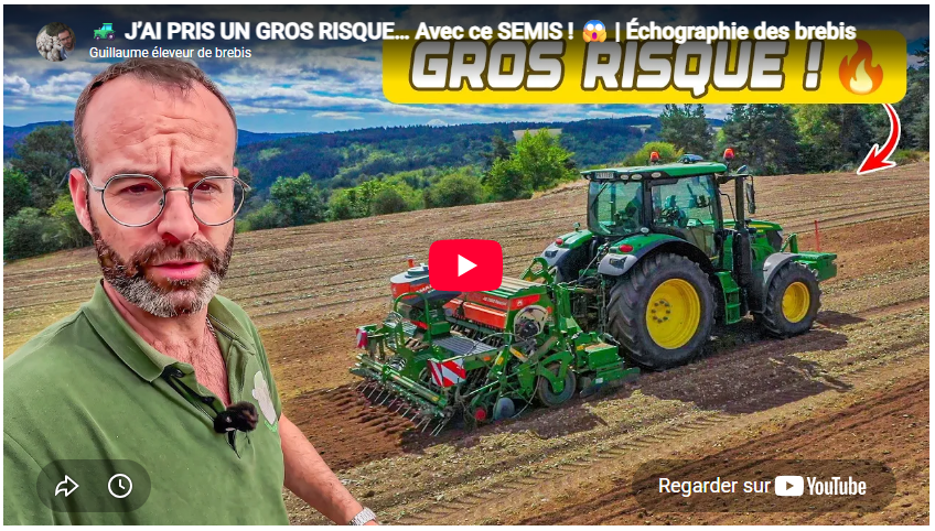 J'ai pris un gros risque... avec ce semis ! Échographie des brebis