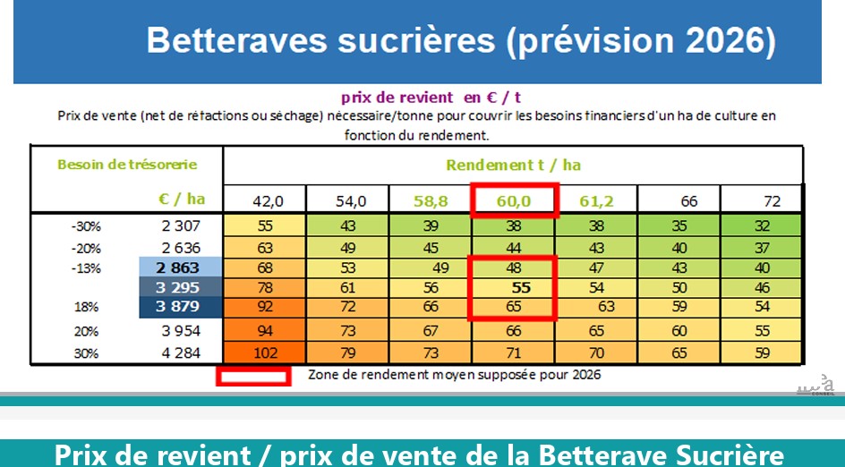 betteraves