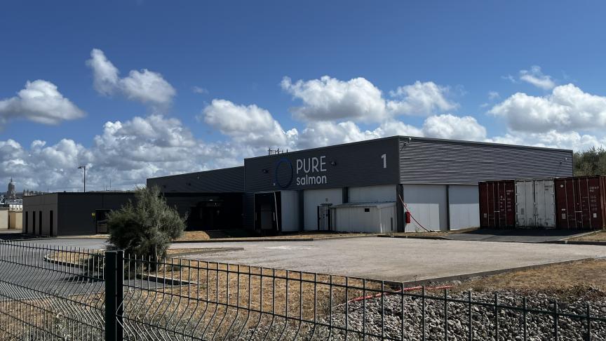Pure Salmon : la filiale Marly & Dan placée en liquidation judiciaire 