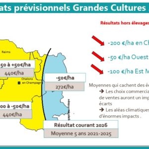 Revenus 2026 – Dans la Marne, tous les céréaliers de nouveau déficitaires
