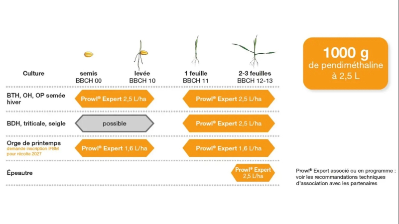 Nouvelles homologations pour Prowl Expert de BASF sur cultures d&rsquo;hiver et de printemps